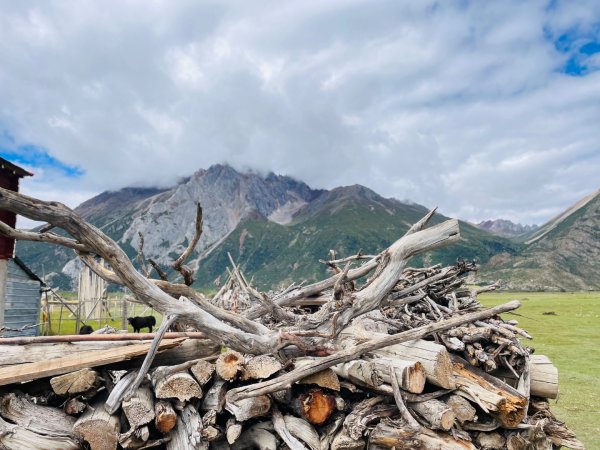川藏33天深度之旅💙#稻城亞丁-來古冰川2902033