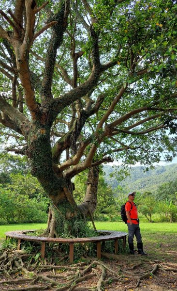 新北萬里丁火朽山、八斗山連走2768663
