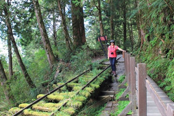 見晴懷古步道305094