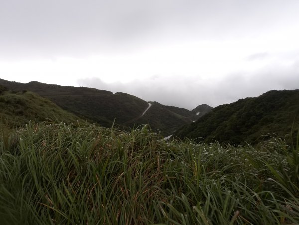 20200525樹梅坪、燦光寮、貂山古道977114
