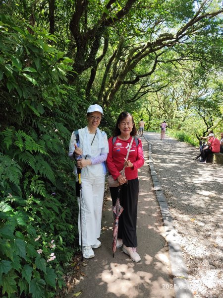 【臺北大縱走1+2】2-1 二子坪步道→面天山向天山步道→梓園(五感體驗場)→面天坪涼亭→大屯山西峰2866834