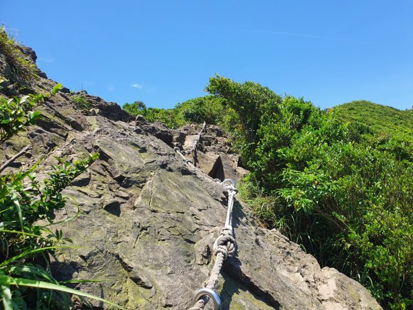 半平山登山步道1368750