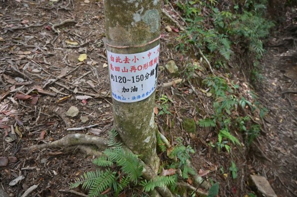 中級山-高島縱走2888378