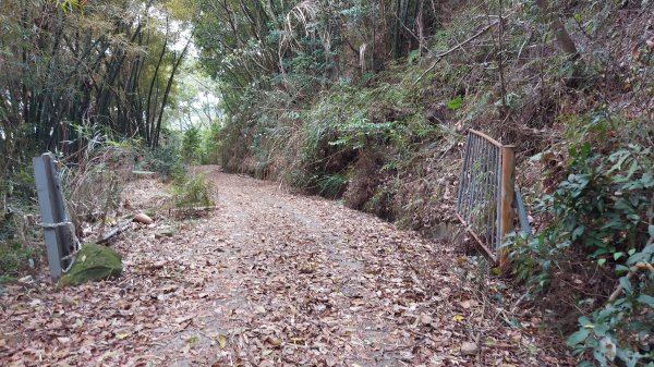 暗影山仙女線 仙女南稜線 南稜線 北稜線 1051峰光明嶺線O型1323088