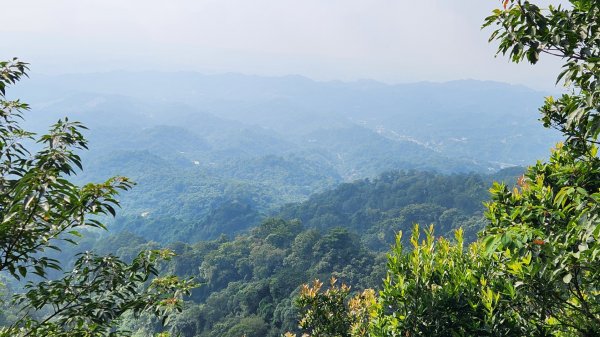 郡大山，郡大山北峰，望鄉山，白冷山，頭嵙山，黑山北峰，大坑4號，大坑3號，挑水古道，快官健行步道2299303