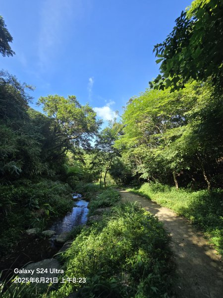 2025-06-21臺北大縱走第二段：二子坪至小油坑2821022