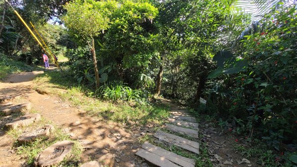 2021-0103 烘爐地步道大O型1224243