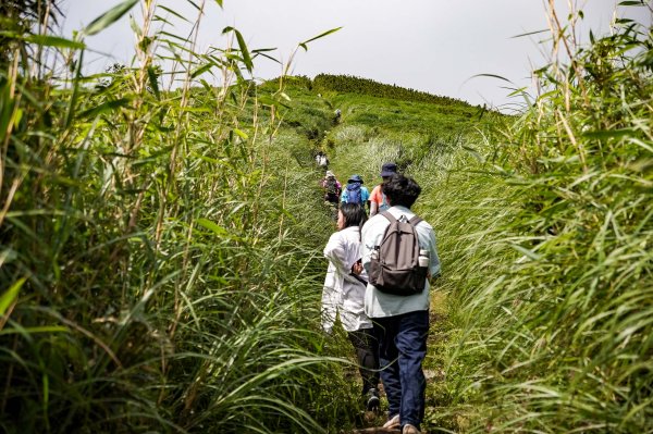 台北大縱走第二段｜大屯山連峰步道3058348