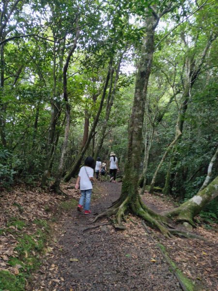 小百岳(22)-東眼山-202208281847333