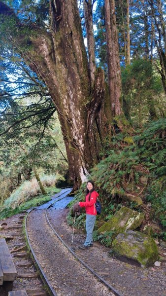 見晴懷古步道2940585