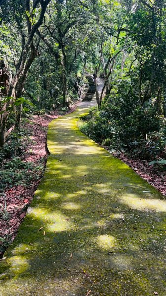 🌈6/22(日) 南投-中興新村-虎山步道✨FB：熊熊趴爬走🌈2818324