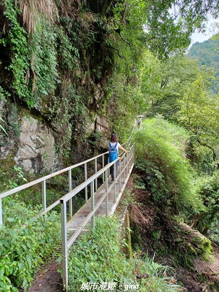 【嘉義縣阿里山鄉】避暑山林芬多精。 石山引水道步道、鹿林前山瀑布2280183