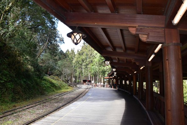 20260207阿里山健行追公車3010594