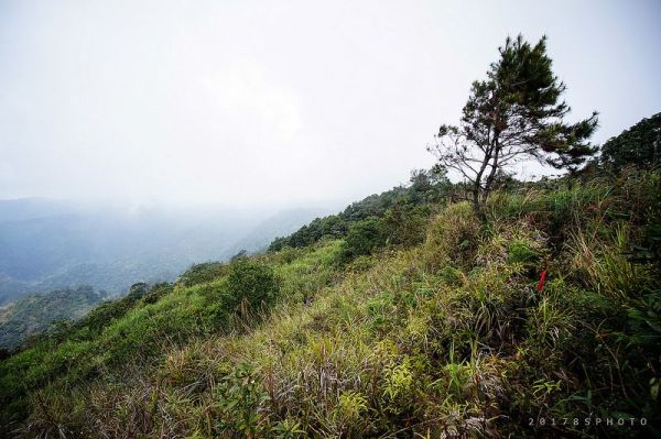 【南投】別毛山