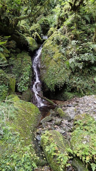 棲松縱走未竟2918406