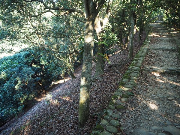 彰化隴頂古道至鳳山寺O型20181216483043