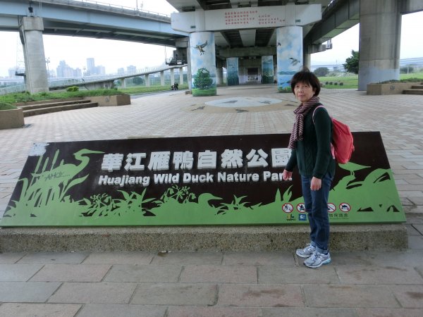 華江雁鴨自然公園631823