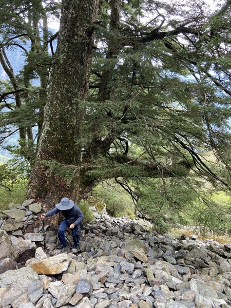 20230515-16玉山前西峰+遠望雨中的主東北2436655