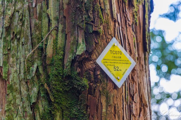 谷關七雄_八仙山2679622