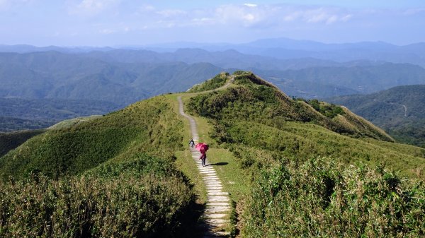 灣坑頭山，大里上大溪下1993798