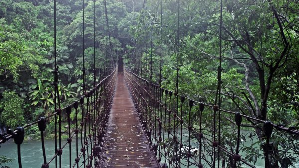 淡蘭古道中路（闊瀨崩山坑環線）989167