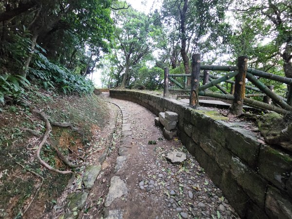 20241229界寮縱走下汐止2721694