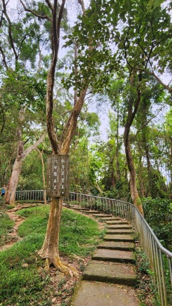 田中麒麟山連走田中森林公園北天宮O繞+ 田中大小劍逆走2756730