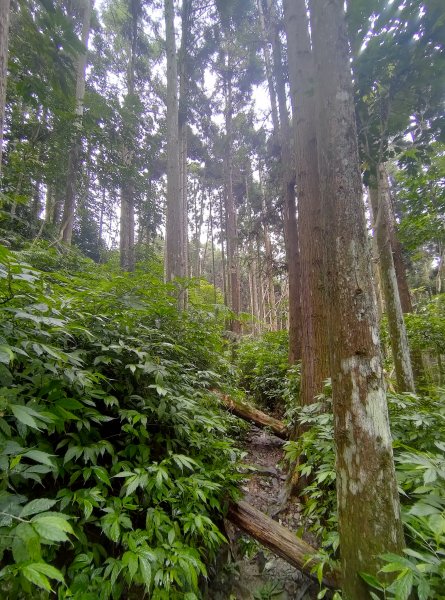 光天高山-向天湖山小O形1577207