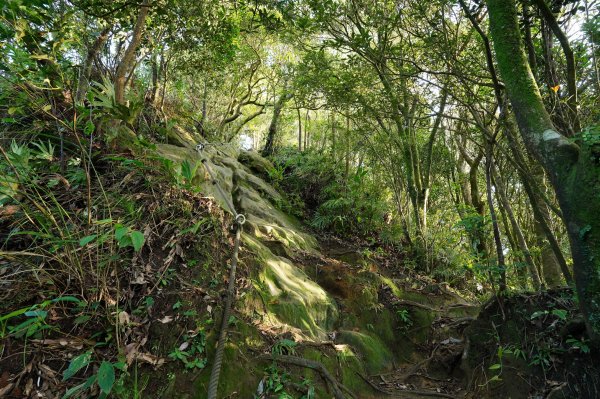 新北 石碇 皇帝殿東峰2628226