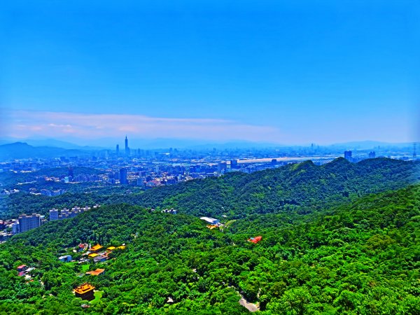 搭著捷運去旅行-白石湖賞花輕旅行610484