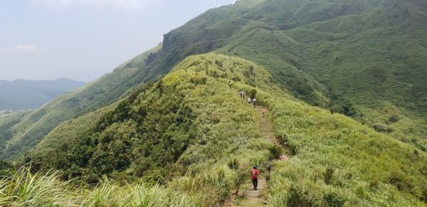 瑞芳無耳茶壺山，半平山386331