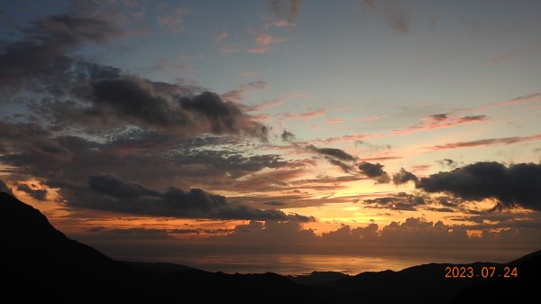 雲山水花鳥蝶-天龍國阿伯的日常7/242229445