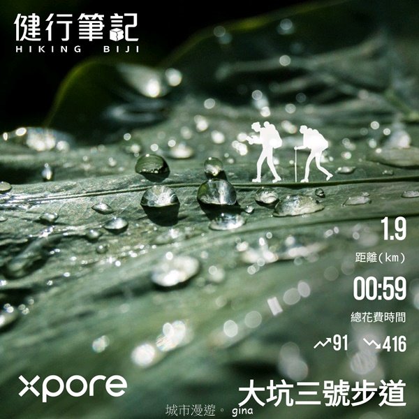 【台中北屯】第一次遇上大坑步道群起霧。 大坑三號步道2695150