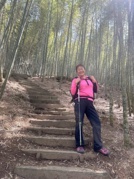 嘉南雲峰、九穹神木3014483