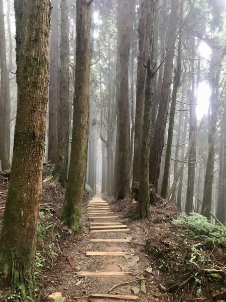 特富野古道986935