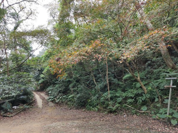 2023.12.27 大溪金面山2839316