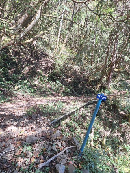 石山引水道202512112959534