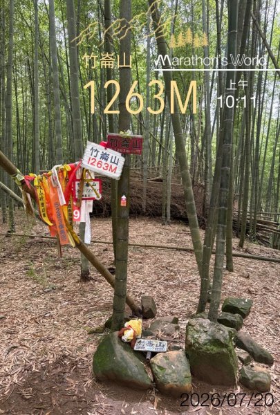 溪頭四秀走溪頭森林遊樂區3088934