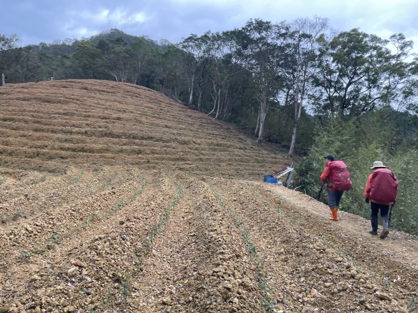 坪林烏窟子山2685876