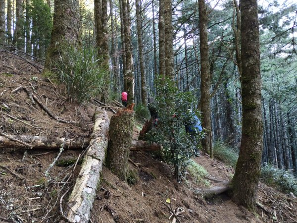 北一段(02/14)多加屯前峰2025_0906~132885101