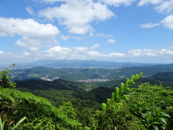 台灣小百岳第17座台北文山-二格山三角點1069138