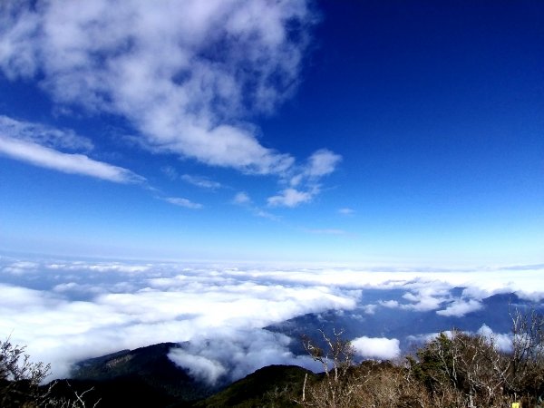 20190126加里山752083