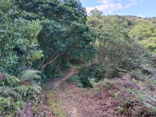 基隆市/萬里區界寮縱走之三界山+三界山西峰+開眼尖山+七分寮山+瑪七產道山泉水接水亭2979530