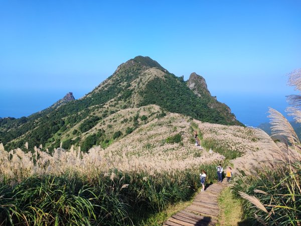 半屏山/燦光寮山賞芒花2412004