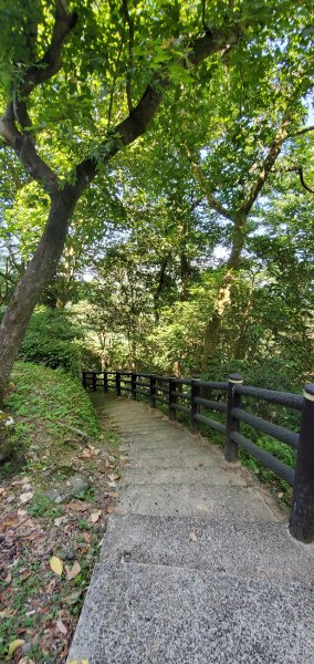 2020/07/18臺北大縱走第七段：名門社區公車站至飛龍步1166408