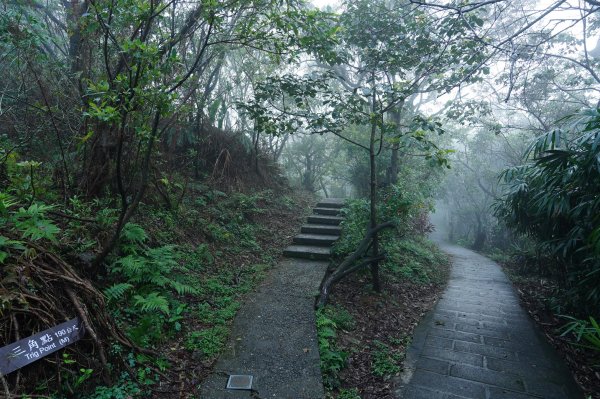 基隆 仁愛 紅淡山、金交椅山2714978
