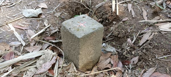 20220312_馬那邦山 細道邦山南峰 細道邦山1637076