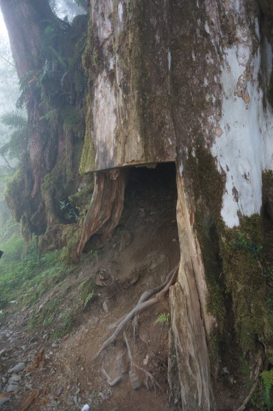 1090406 太平山 見晴懷古步道1082935