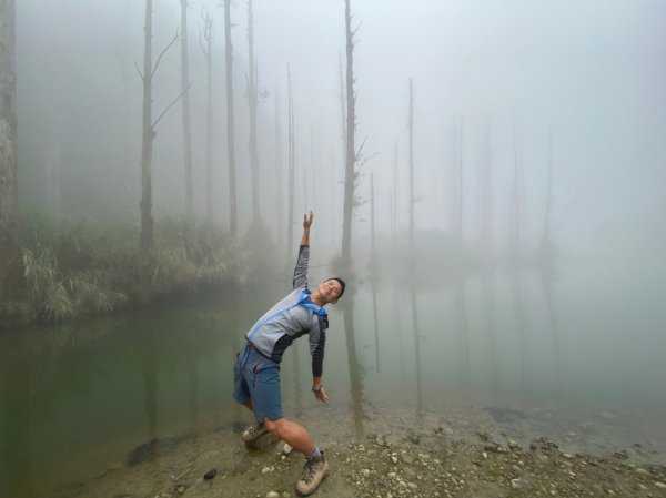 鹿屈山.水漾森林封面