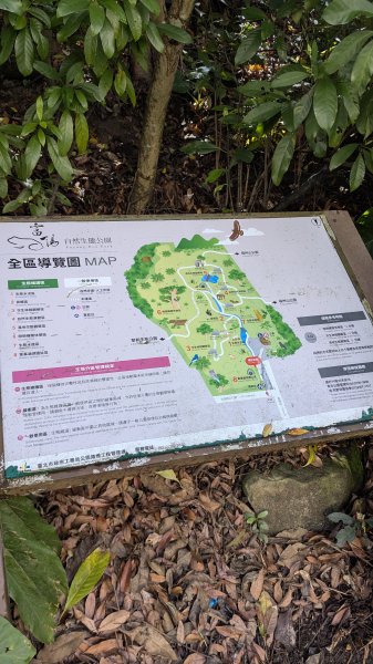 不是臺北大縱走63042936